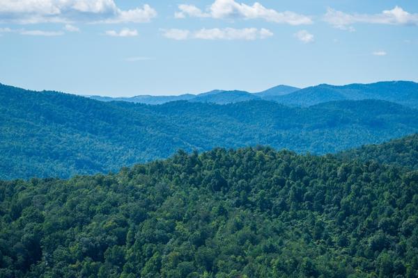 Appalachian mountains in Wilkes County