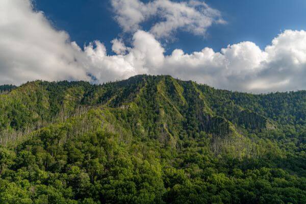 Great Smoky Mountains Outdoor