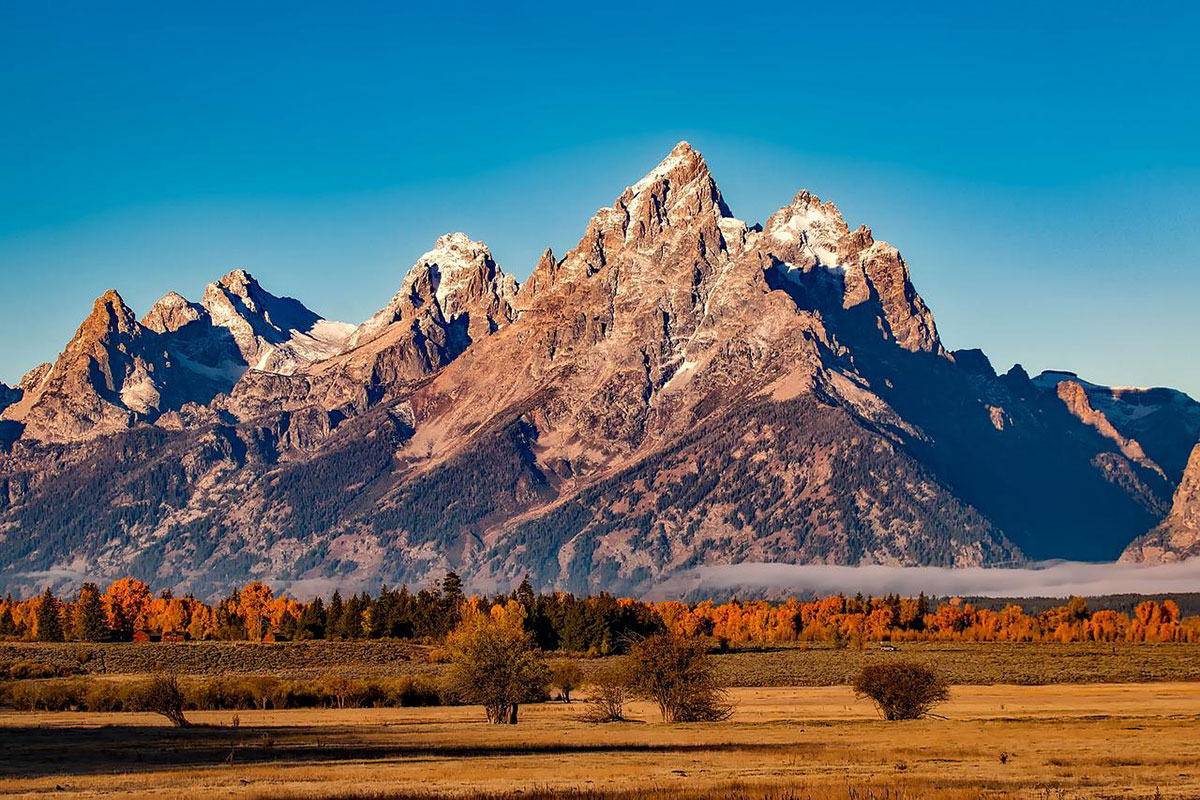 grand teton mountains in background