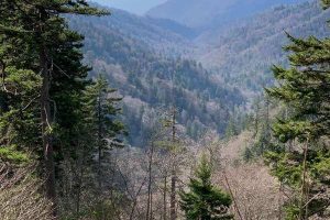 Smoky Mountains Vs. Appalachian Mountains - National Parks Etc.