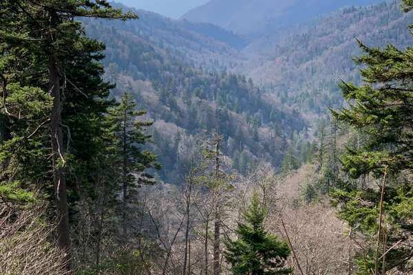 the Great Smoky Mountain hiking spot