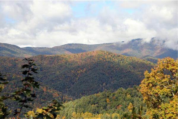 Cataloochee Valley