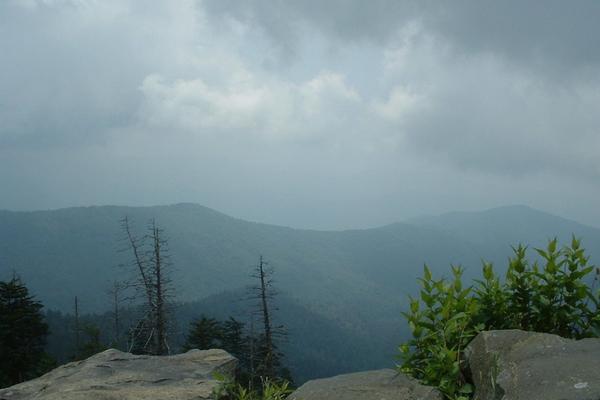 Clingmans Dome