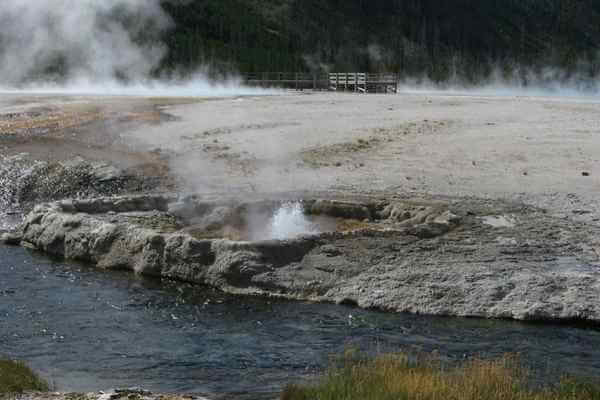 Geyser ecosystem