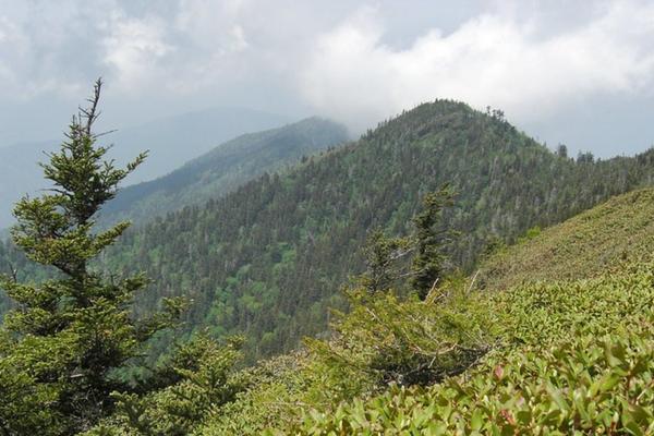 Mount LeConte