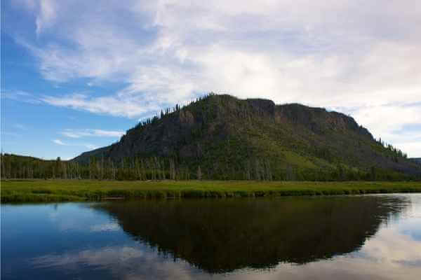 Mountain ecosystem