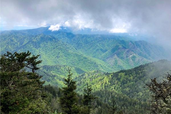 Mt. LeConte