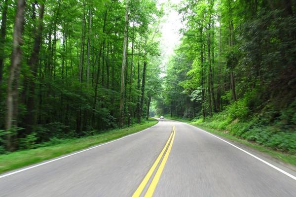 Newfound Gap Road