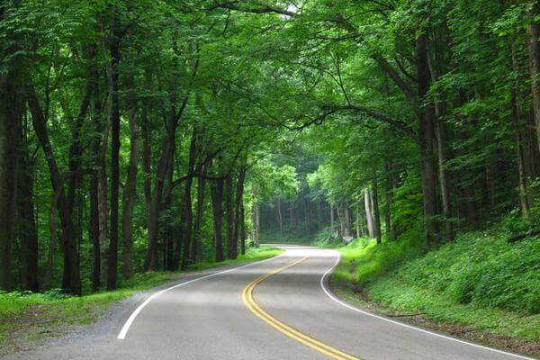 Newfound Gap road