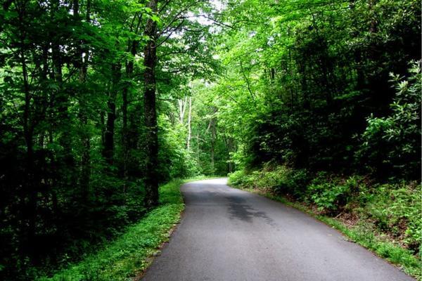 Roaring-Fork-Motor-Nature-Trail