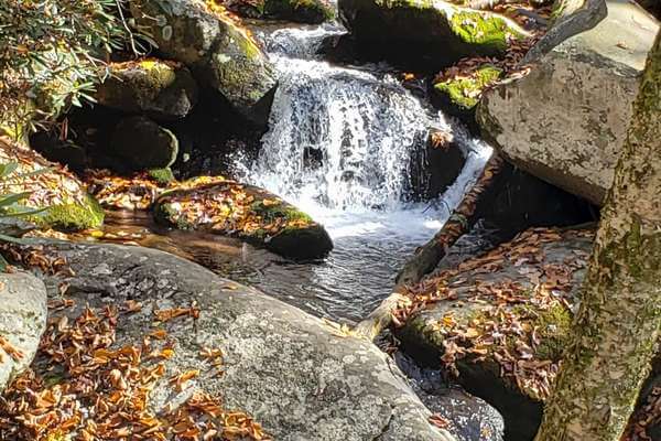 Roaring Fork Motor Trail