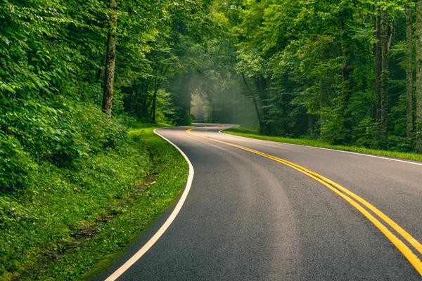 Smoky Mountain Roads