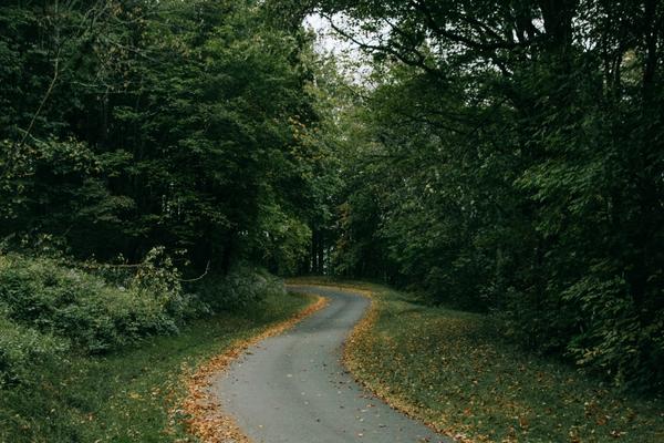 Smoky Mountain Trails