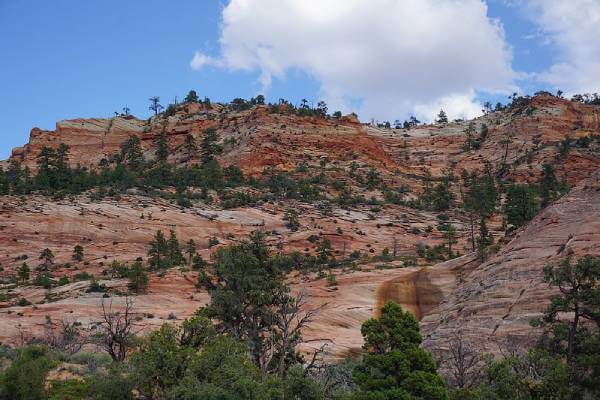 Zion-National-Park