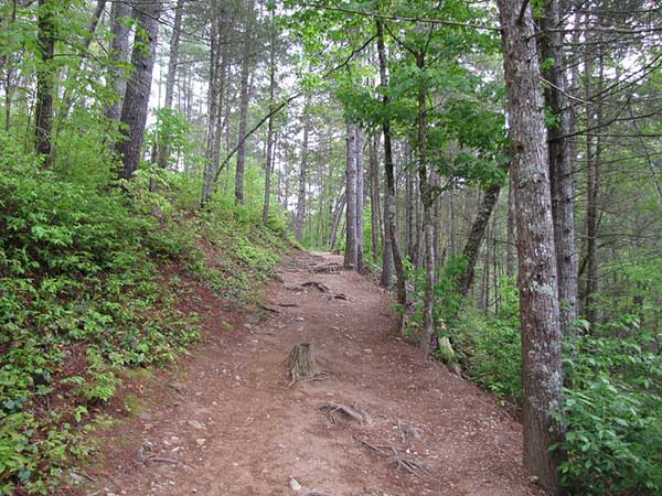 abrams falls trail