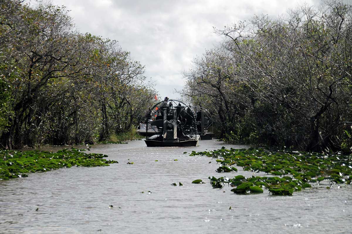 airboat in the everglades