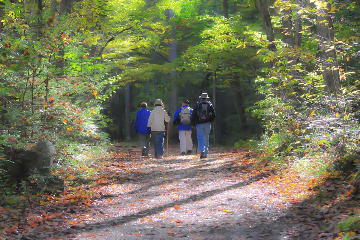 hiking on a trail in a group