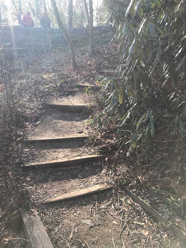 hiking steps