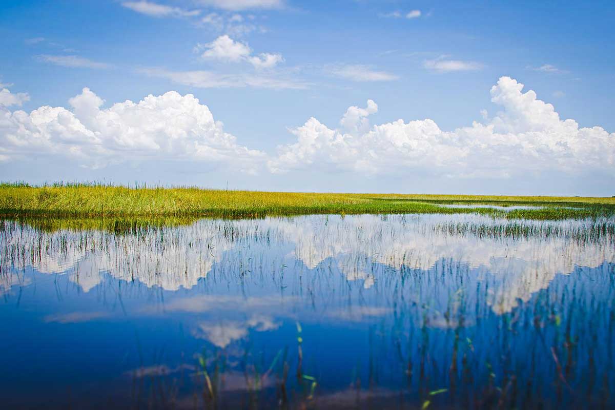 Florida Everglades 