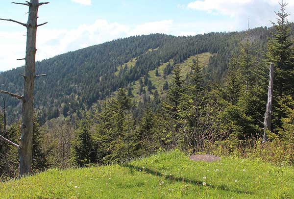 mount buckley from clingmans dome