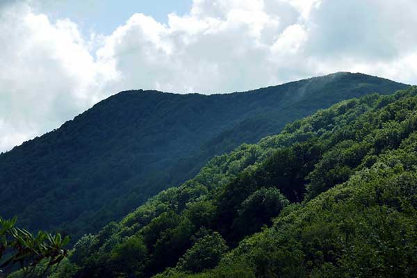 rocky top and thunderhead