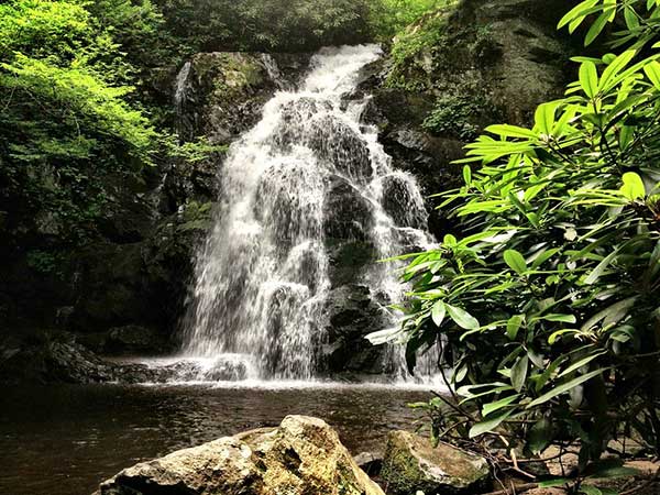 spruce flat falls