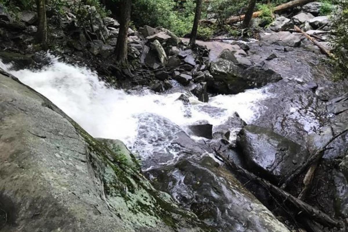 View of Laurel Falls