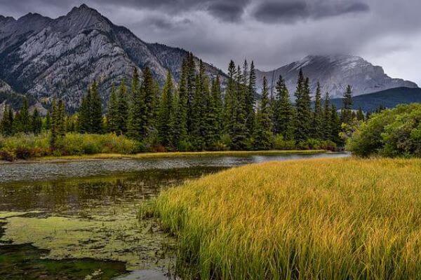 Trees and lake in Rocky Mountain