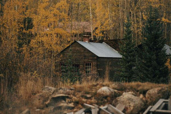 Cabin in St. Elmo Ghostown